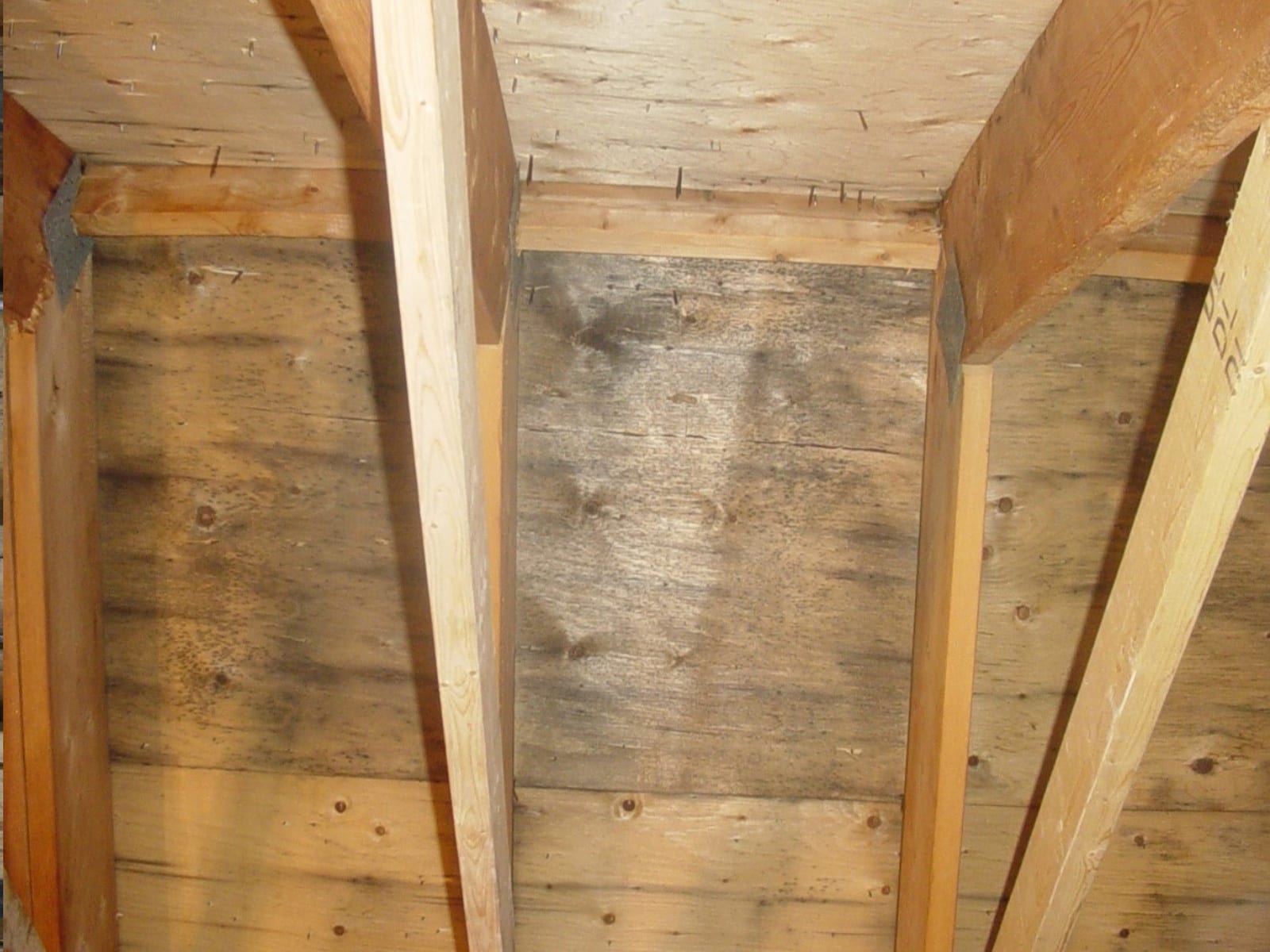 Mold remediation cleaning before and after dry-ice blasting